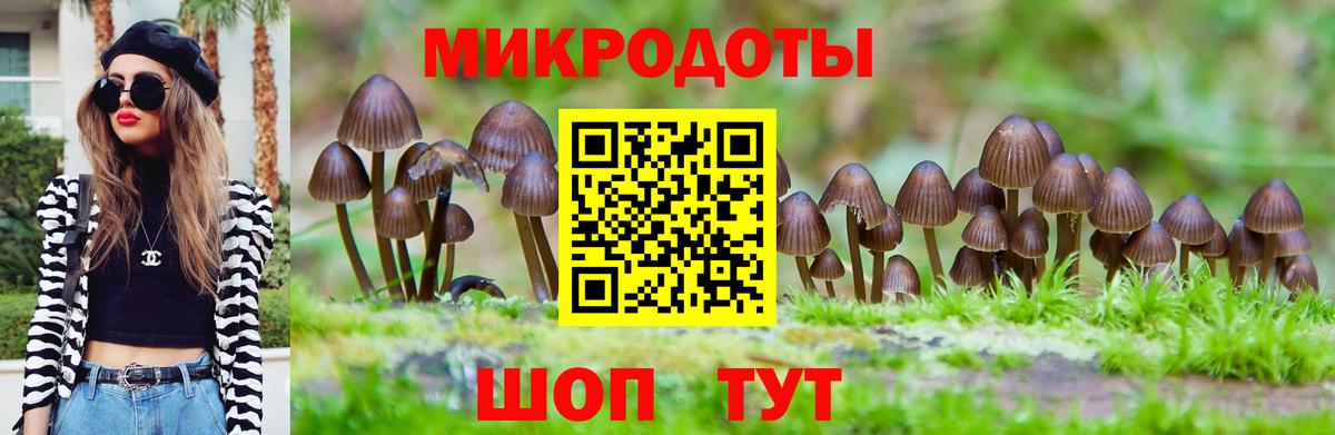 Саранск  Псилоцибиновые грибы Psilocybe  Галлюциногенные грибы прущие грибы  где найти наркотики  Вход с VPN 