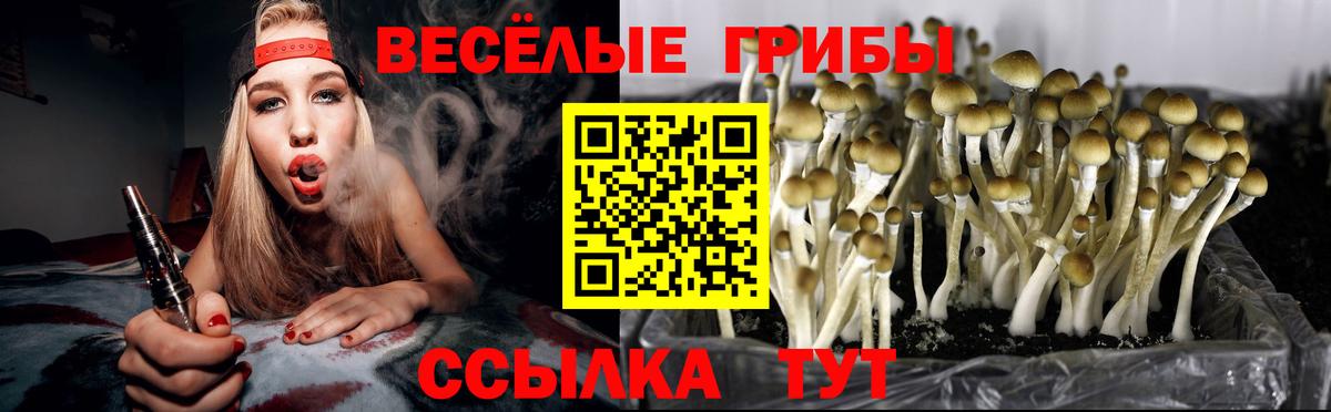 Псилоцибиновые грибы мухоморы Саранск
